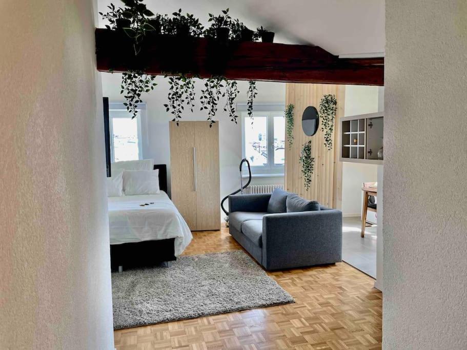 Cosy Attic Flat Center Apartment
